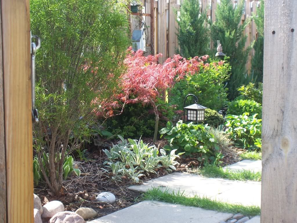 Tips for Landscape Design in a Tiny Yard | My Urban Garden Oasis